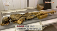 Unknown Woman A mummy (Meritamun) The Screaming Woman Mummy
